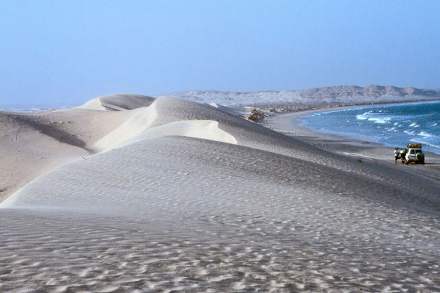 Dune bianche