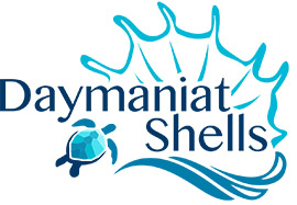 Daymaniat Shells